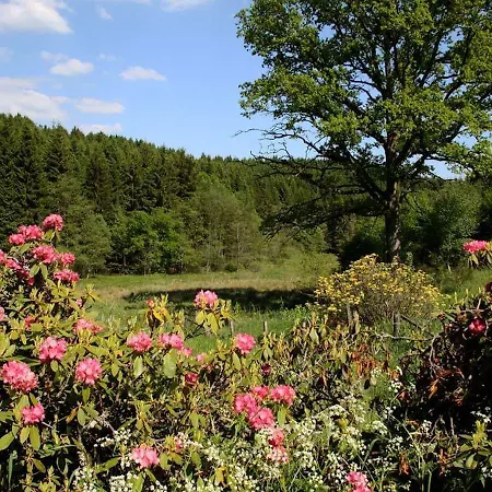 Magnificent Holiday In Houffalize With Sauna Vakantiehuis *